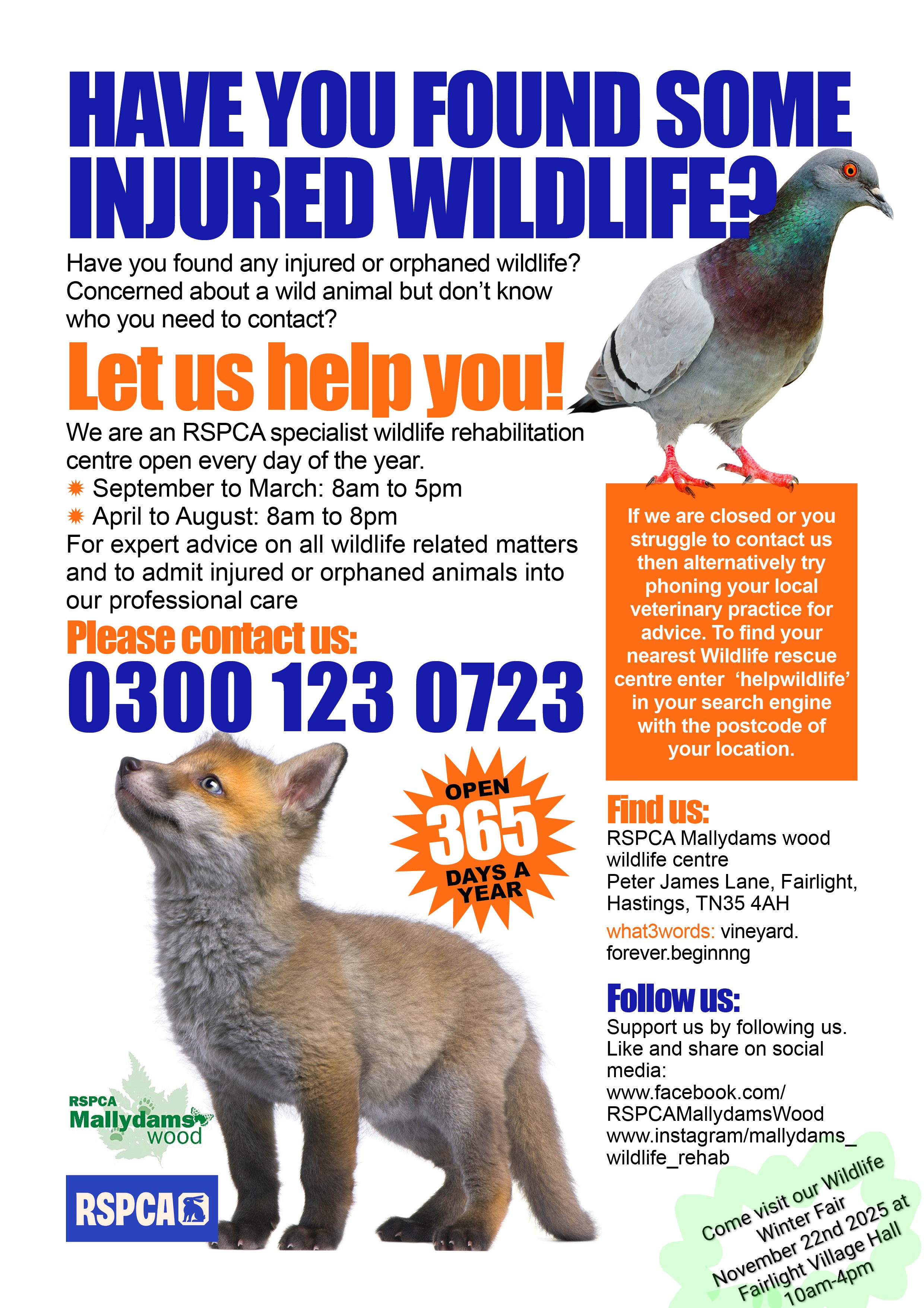 What to do when you encounter sick, injured, or orphaned wildlife in your community
